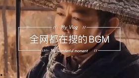 娱乐吃瓜博主用的bgm,揭秘博主热门背景音乐背后的故事